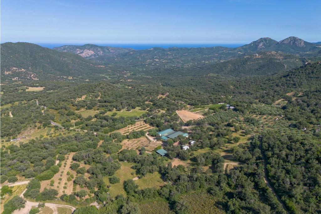 redabba house arzana sardegna lodge (7)